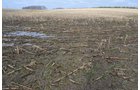 Property photo 30 - 98+/- Acres Offered in 6 Tracts or Combinations, Noble County, Indiana Farm